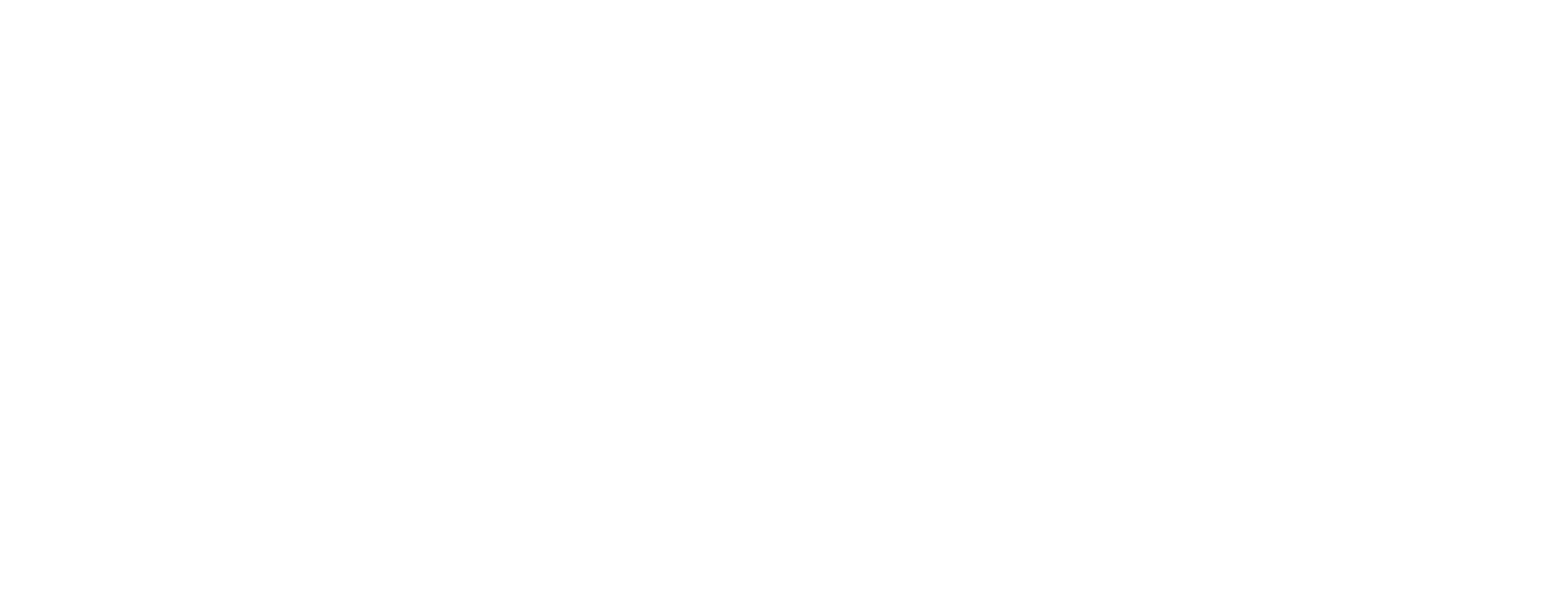 sinvo.png